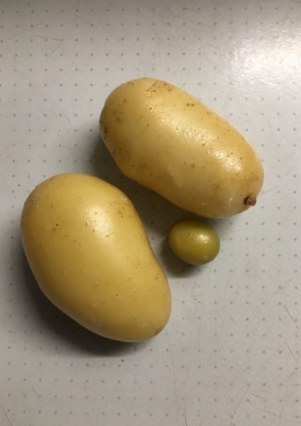 2025-Kulturland_bySandraZiagos